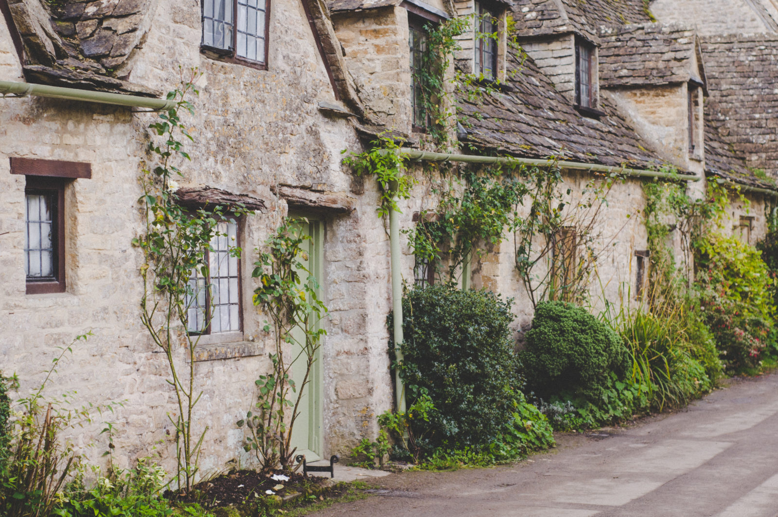 Photo by Ivy Barn Photo by Ivy Barn